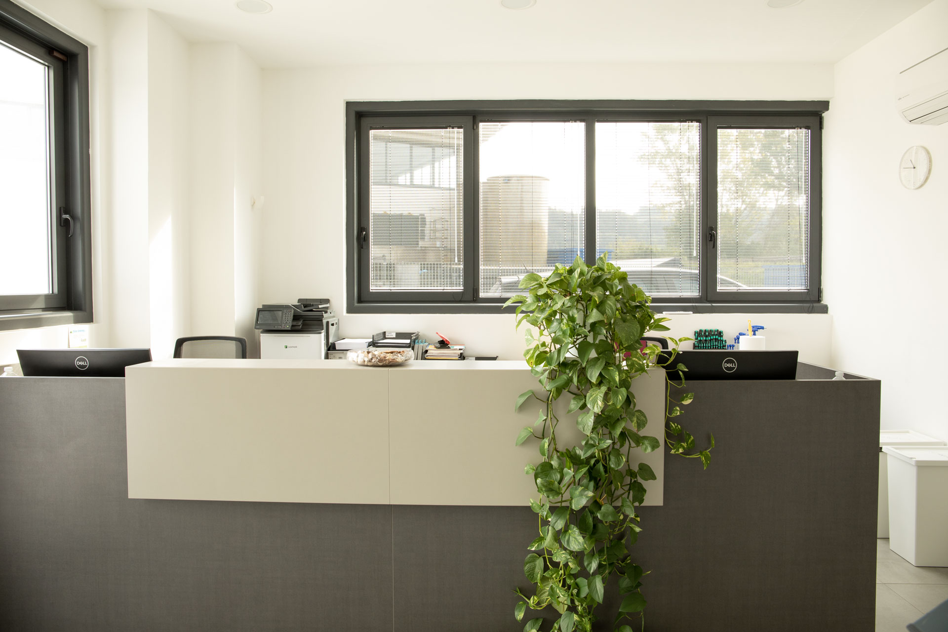 reception di accoglienza di Eredi Sabatini con il desk e una pianta